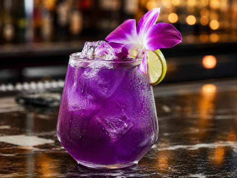 Nini's Purple Paradise